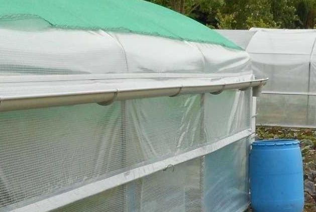 💡 Cómo Aprovechar el Agua de Lluvia 🌧️ en tu Huerto Ecológico