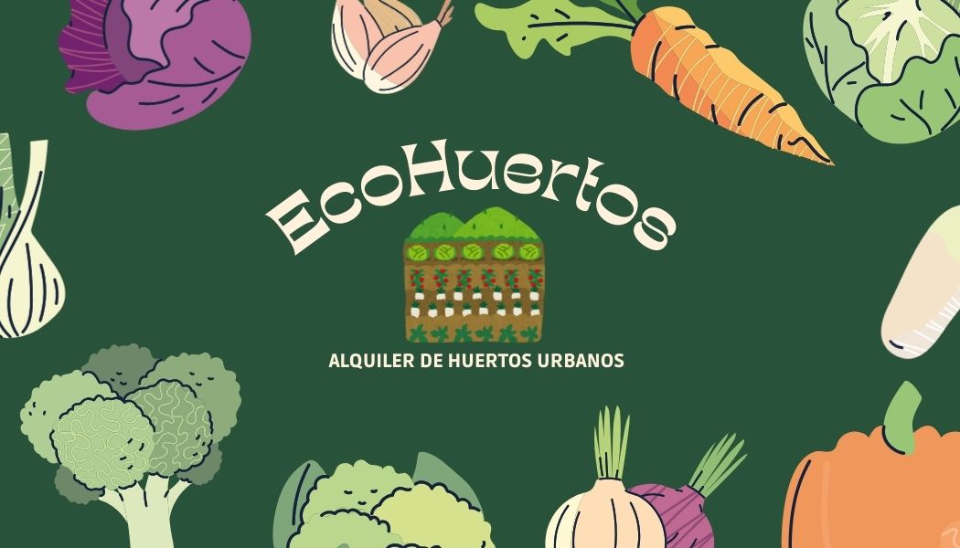 Cultiva Salud y Bienestar: Las Ventajas del Huerto Urbano Ecológico en Lugo